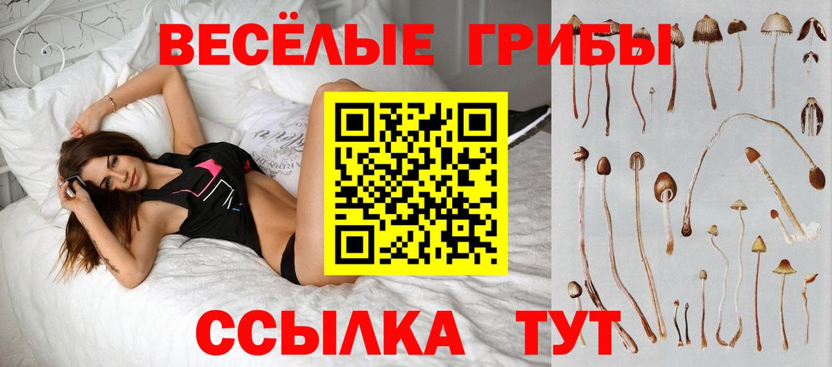 Псилоцибиновые грибы Psilocybe  Галлюциногенные грибы прущие грибы  Вход с VPN  Мичуринск 
