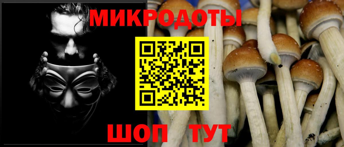 Псилоцибиновые грибы Cubensis Мичуринск